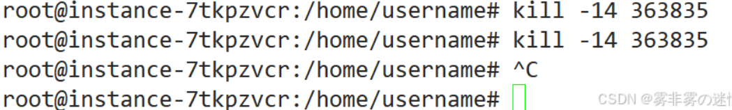 《Linux 信号入门：搞懂 “进程通信的紧急电话” 到底怎么用（初篇）》