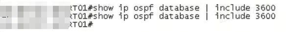 锐捷RSR7708-X ospfd导致CPU利用率为99%