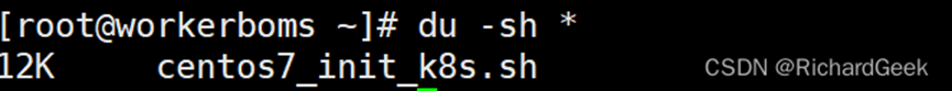 Linux命令——利用 du -sh 命令查看磁盘使用文件大小信息