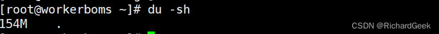 Linux命令——利用 du -sh 命令查看磁盘使用文件大小信息