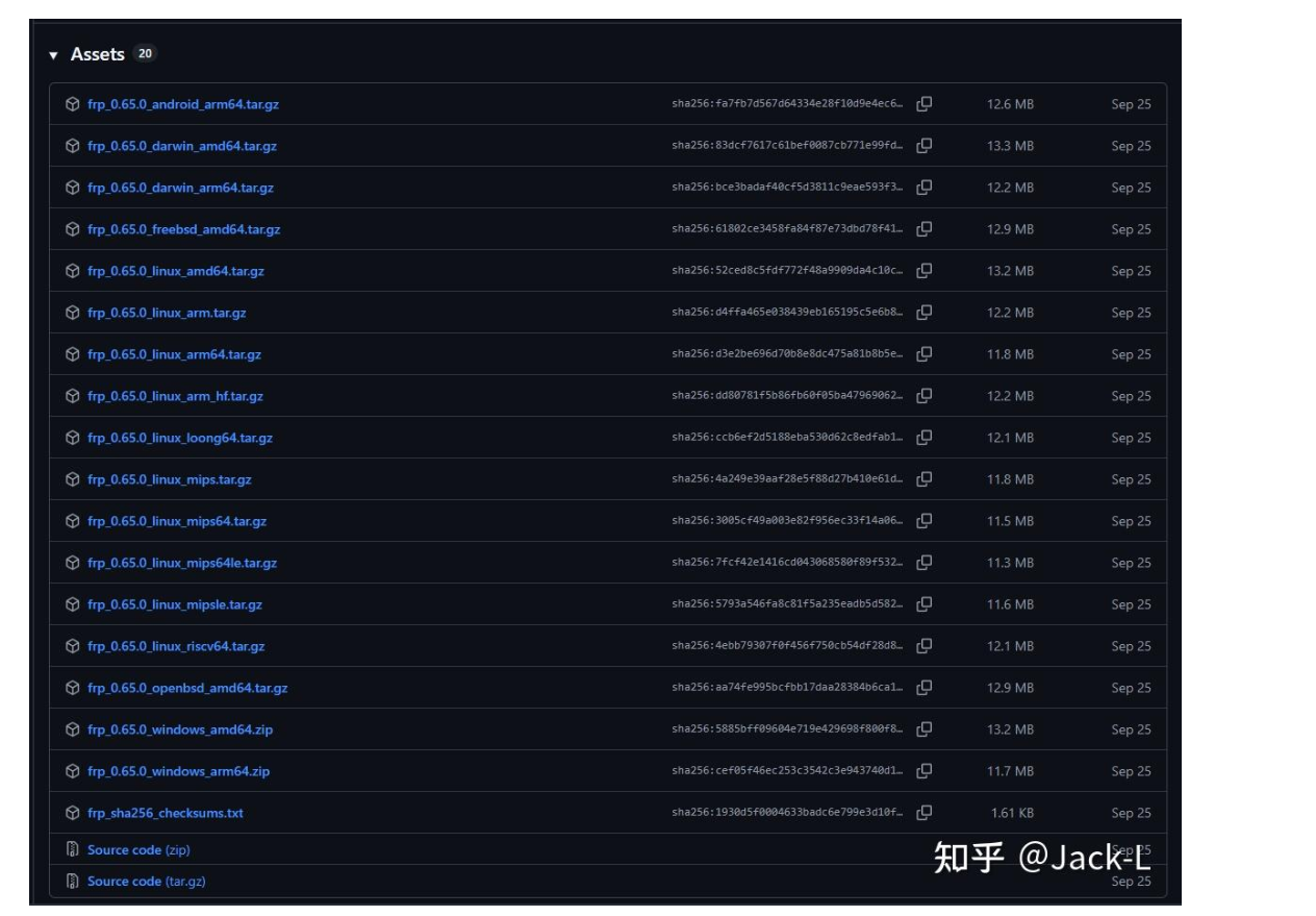 【内网穿透】使用frp把内网服务提供到公网
