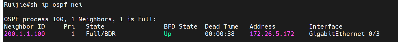 OSPF-邻居建立失败