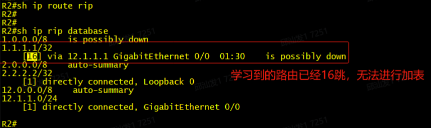锐捷RIP学习不到目标路由